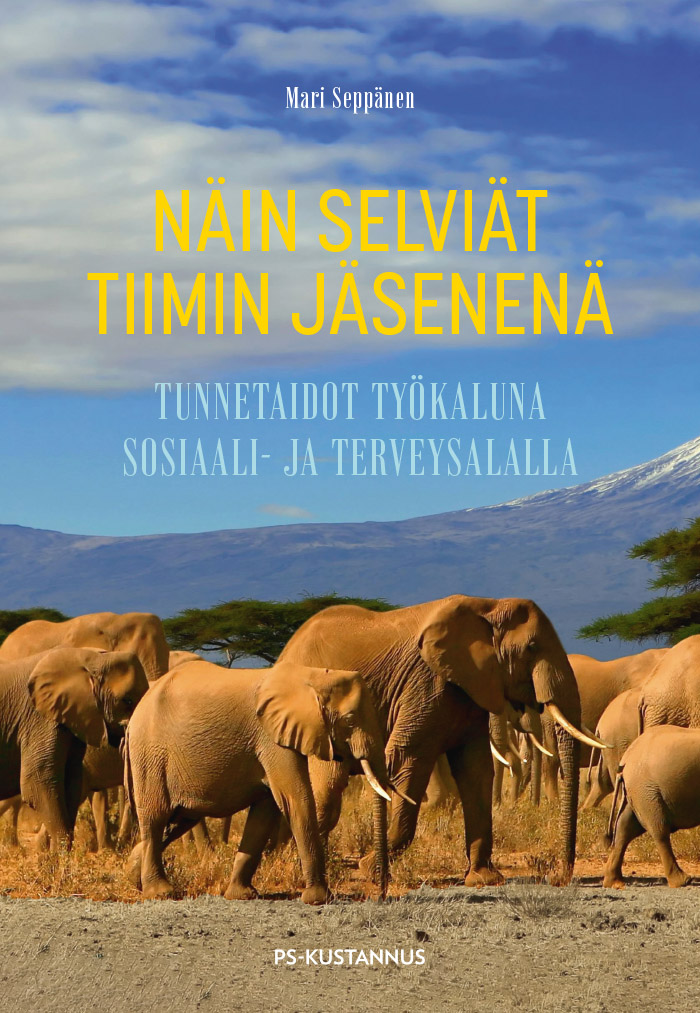 Näin selviät tiimin jäsenenä